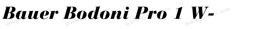 Bauer Bodoni Pro 1 W字体转换